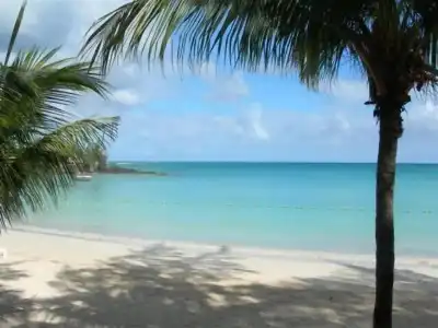 Dodola Lodge - 10