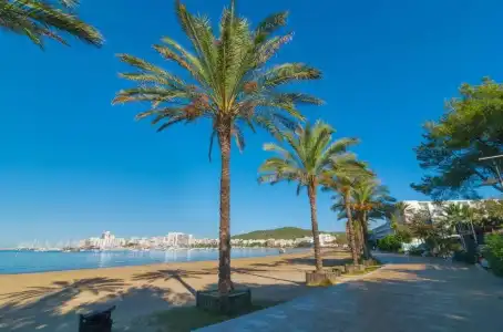 Puchet Ibiza - 29