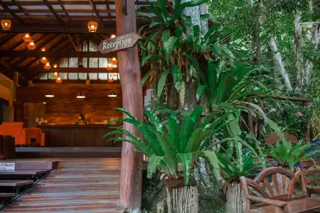 The Vatika Resort and Spa - 24