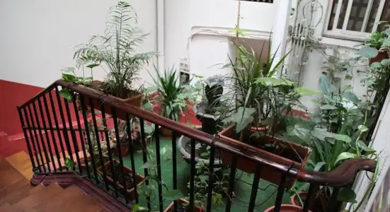 Hostel Razio - 15