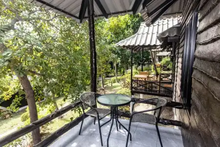Shiralea Island Resort - 77