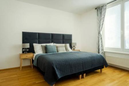 Business & Family Ambiente Apartments - 249