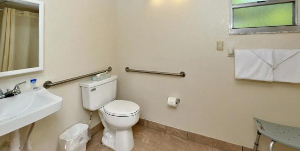 Americas Best Value Inn Bradenton Sarasota - 6