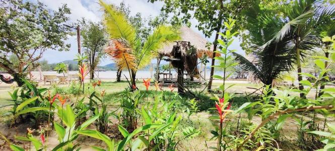 Dolphin Bay Resort - 30