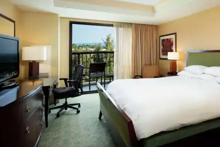 Hilton Waikoloa Village - 301