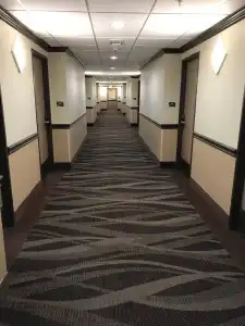 Quality Inn & Suites Lubbock South - 12