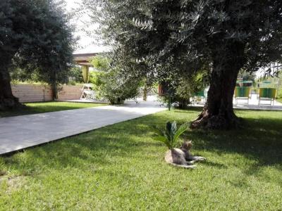 Agriturismo Terra dei Limoni - 85