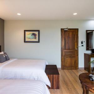 Olive Tree - 20