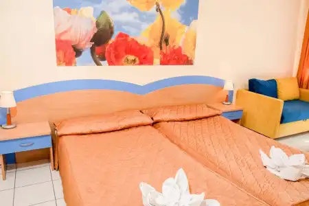 Dolphin - 6