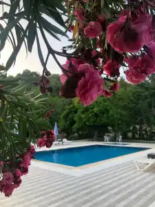 Mina Grand - 12