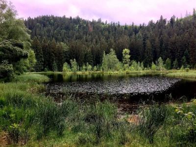 Wellness & Genuss Resort - Engel Obertal - 20