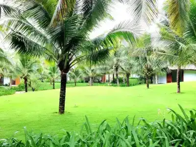 Sonata Resort & Spa - 47