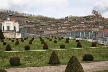 West an der Sächsischen Weinstrasse - 36