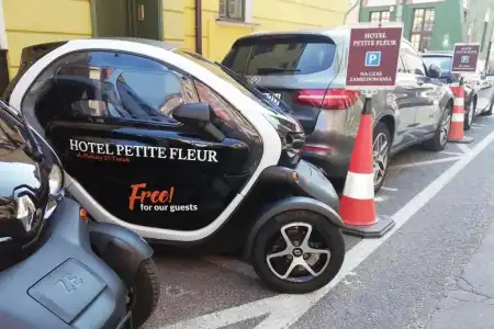 Petite Fleur - Adults only - 8