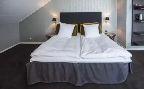 Scheelsminde Herregård - 103