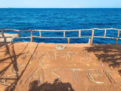 Sharm Reef - 22