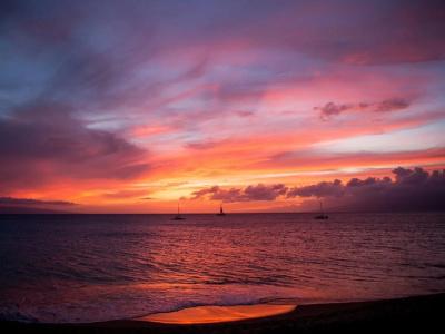 Royal Lahaina Resort & Bungalows - 15