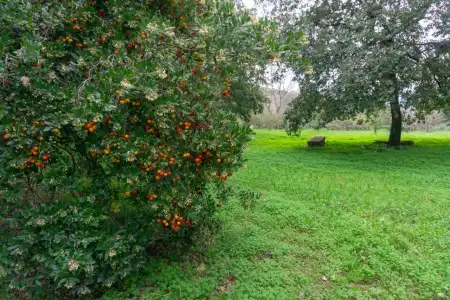 Villa Trigona - 38