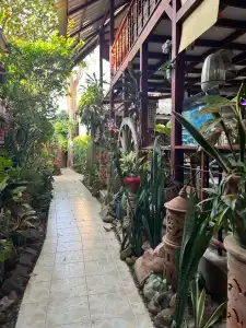 Three J Guesthouse - 22