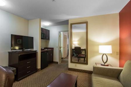 Comfort Inn & Suites Airport South - 53