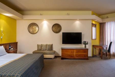 Olive Tree - 63