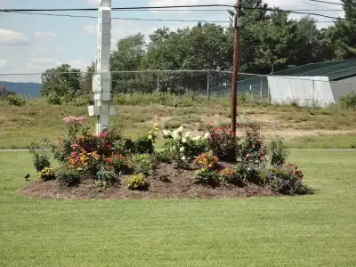 Sara Glen Motel - Saratoga Springs-Glens Falls - 26