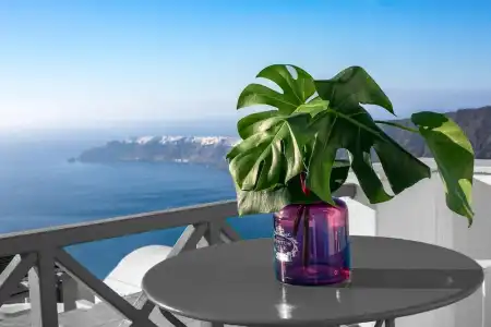 Salvatore Caldera Suites - 58
