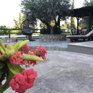 Fiore Di Flora - 19