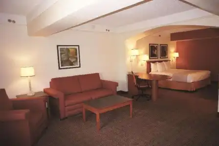 La Quinta Inn by Wyndham Austin Capitol / Downtown - 27