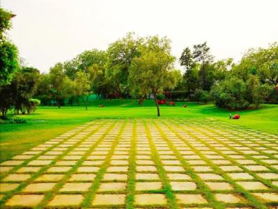 Trident, Agra - 49