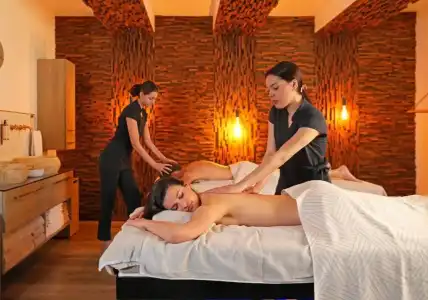 Negrecoste & Spa - 39