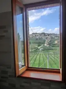 Agriturismo La Pietriccia - 124