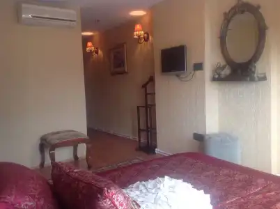 Aslan Istanbul - 3