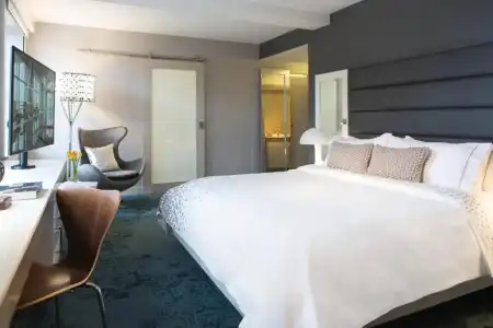 Renaissance Albany - 23