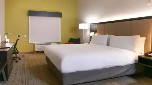 Holiday Inn Express St. Petersburg North (I-275) by IHG - 16