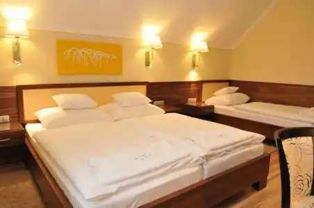 Mizse Motel - 21