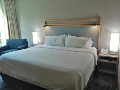 Holiday Inn Express Mexico Reforma by IHG - 37