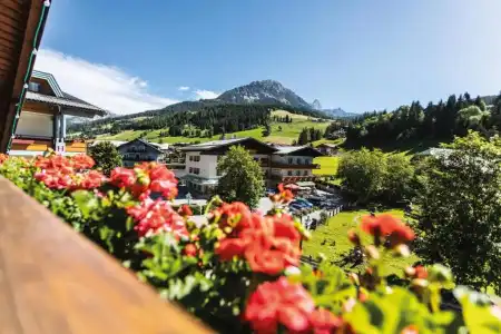 AlpenWurzer - 24