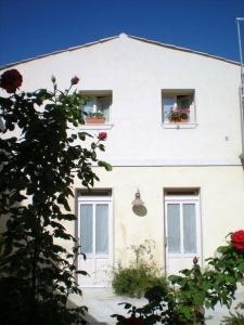 Chicchi di Melograno - 34