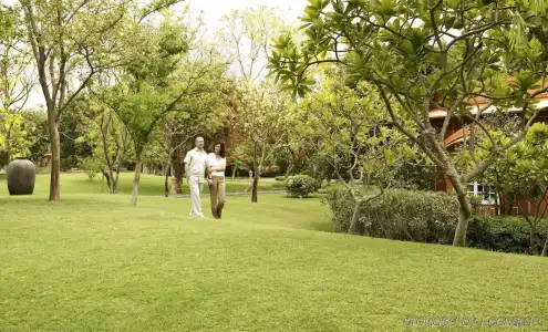 The Oberoi Rajvilas, - 20