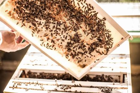 Atlantic Airport - 14