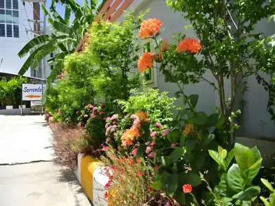 Sorrento and Residence - 25