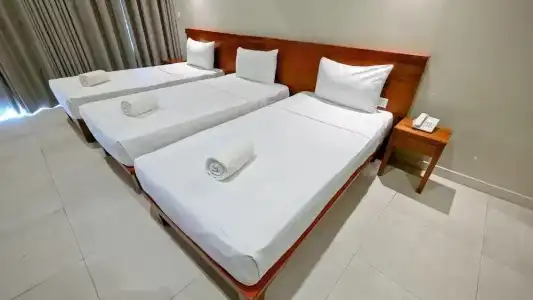 Oak Ray La Ella Breeze - 18