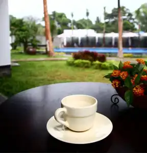 Terrace Resort - 44
