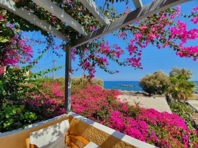 Nostos Beach - 45