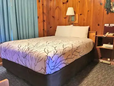 Park Motel and Cabins - 367