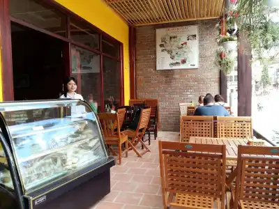 Le Gecko - 12