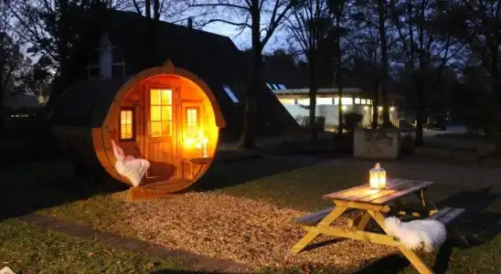 Azur Waldcamping Auwaldsee - 10