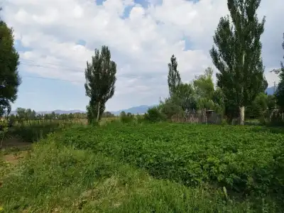 Travel Around Guest House - 17