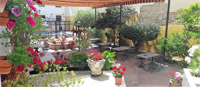 Iberostar Waves Averroes - 17